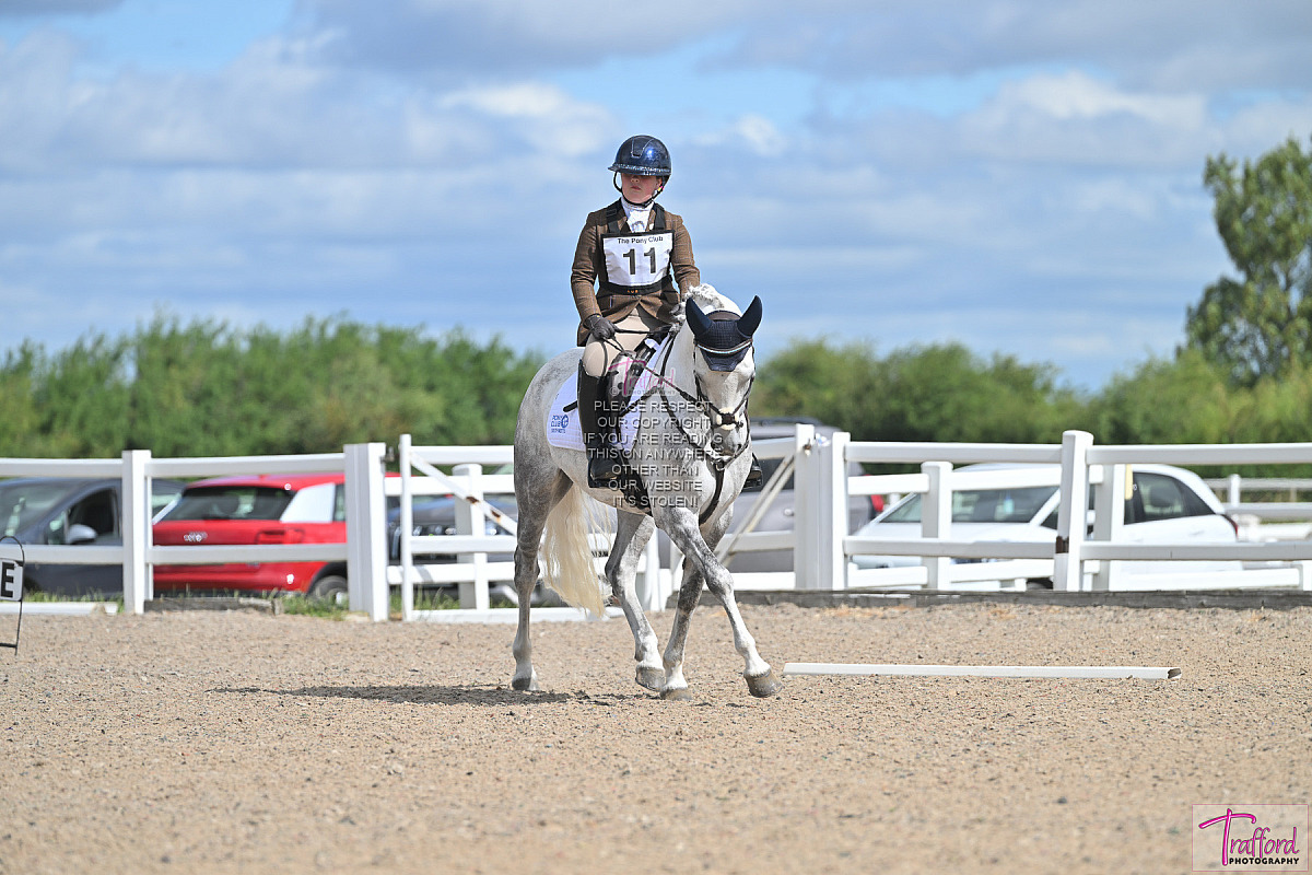 Area 6 Dressage Competition 2026